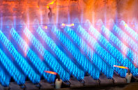 Newbold gas fired boilers